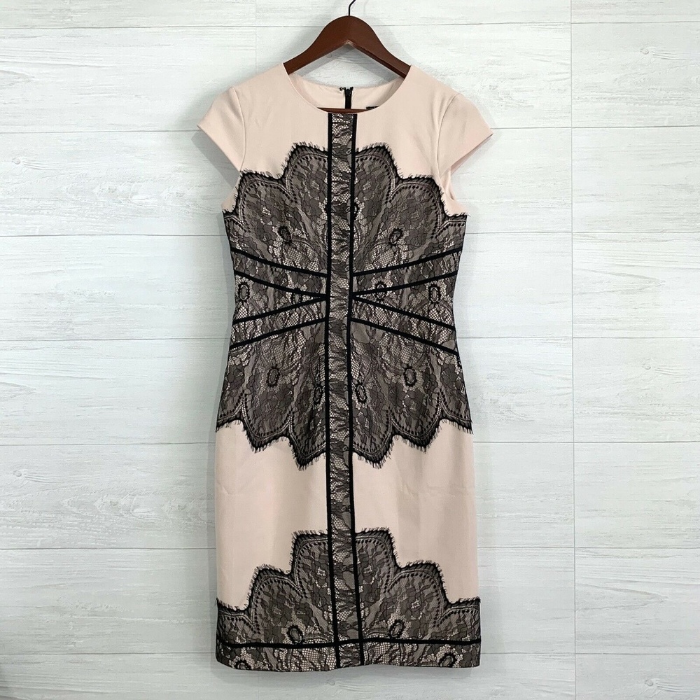 Adrianna Papell Blush Pink Black Eyelash Lace Dres